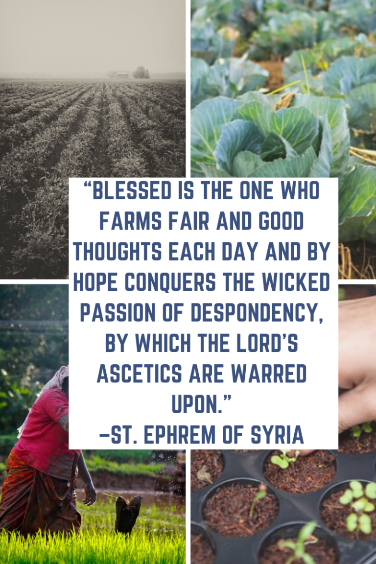 St. Ephrem farming good thoughts