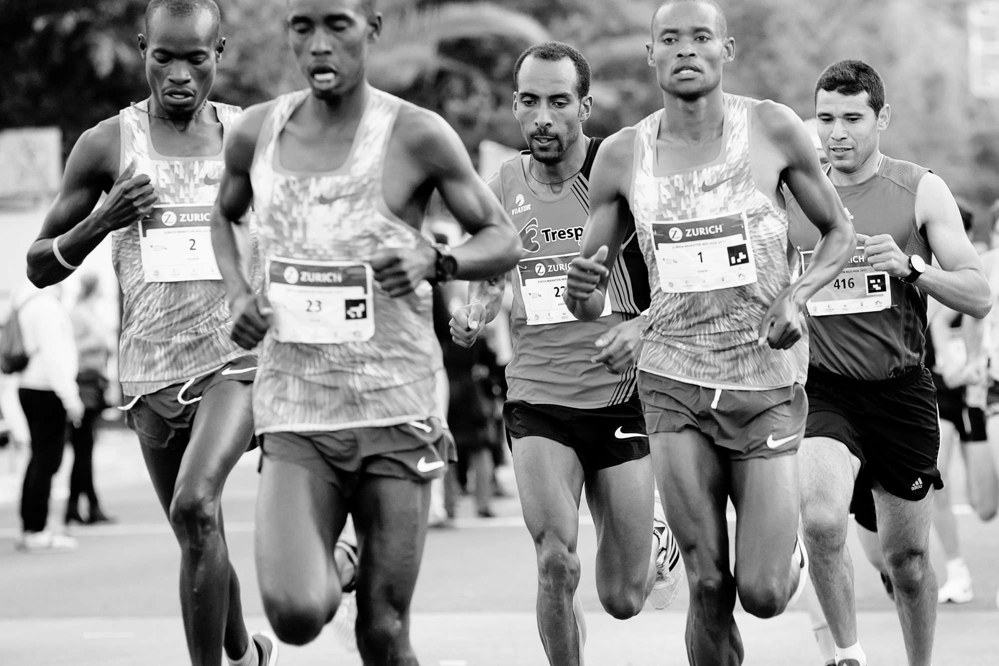 True Races THE RACE OF LIFE – True Orthodox Diocese of Western Europe