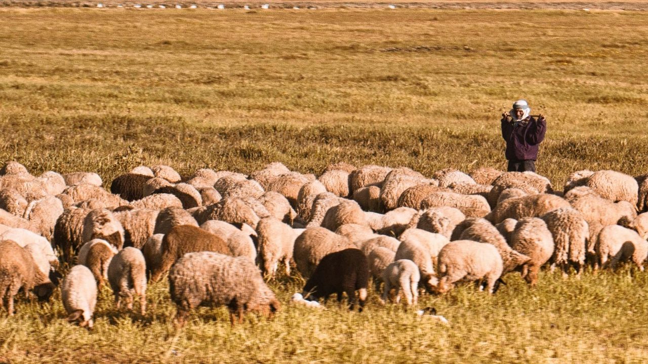 Before the Manger Day 5