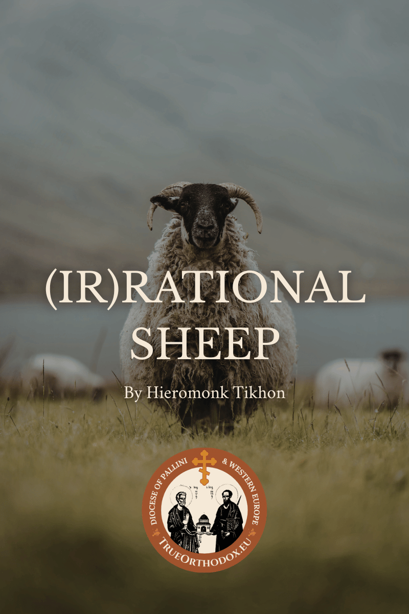(Ir)rational Sheep by Hieromonk Tikhon